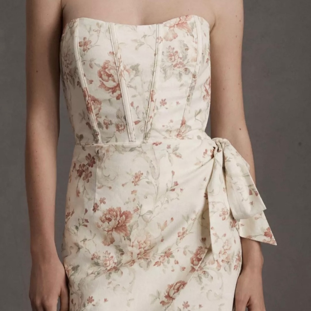 V. Chapman Nasturtium Mini